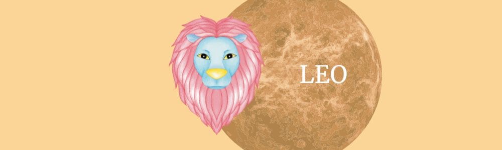 Leo: La Creatividad que Surge del Juego