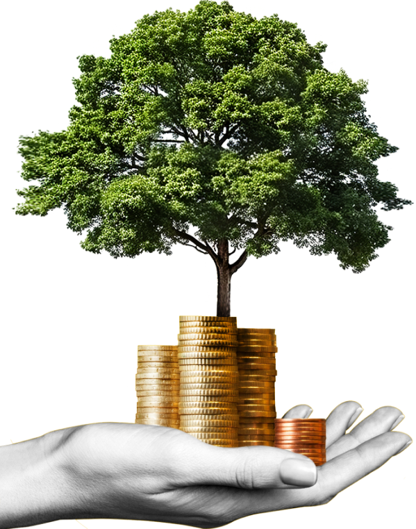 image_group_02 https://consultorioastrologico.com/wp-content/uploads/2024/09/image_group_02.png