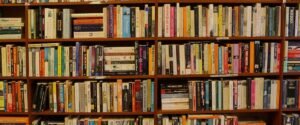 Listado de libros recomendados (modulo 2)