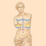 Venus en Libra